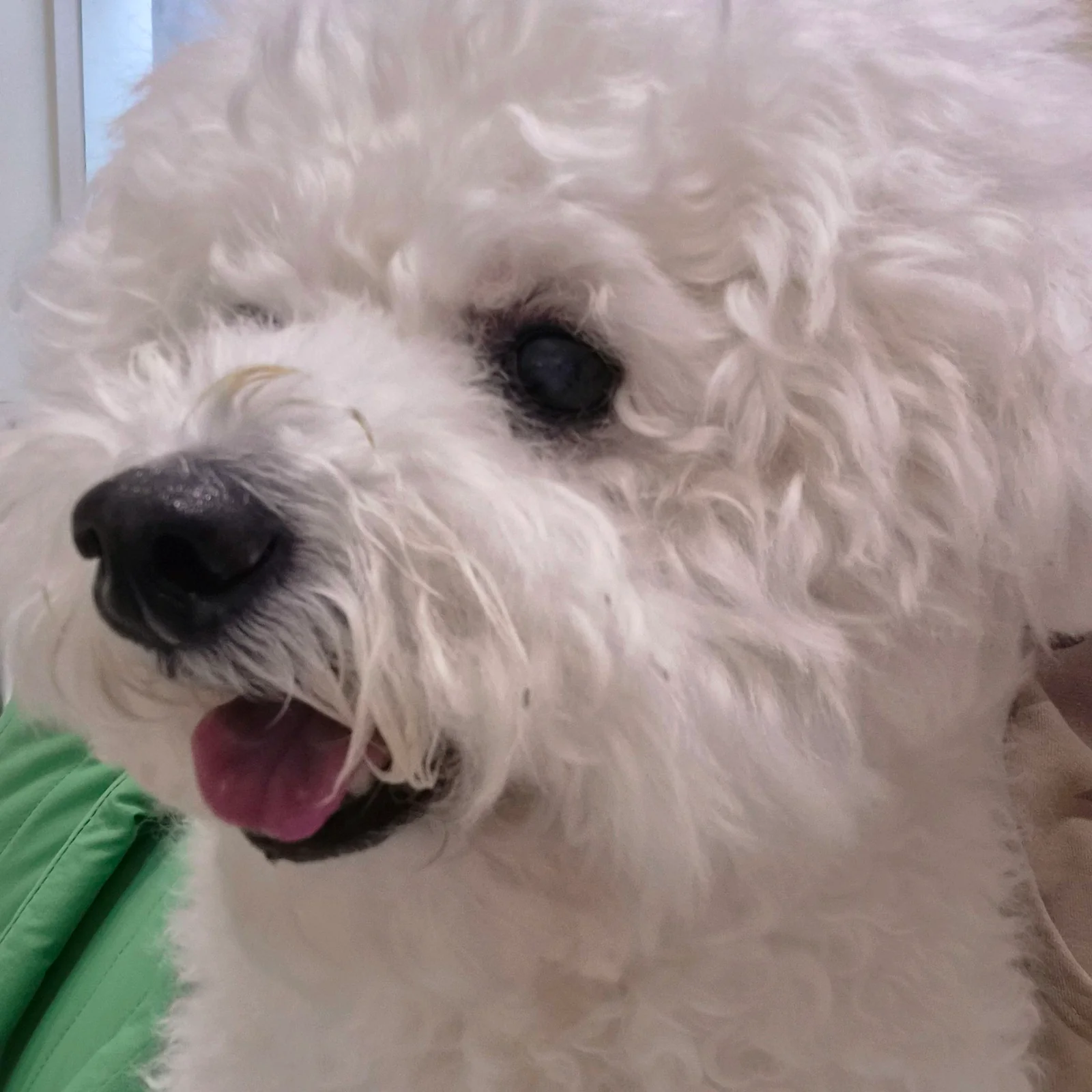 리뷰 사진 1