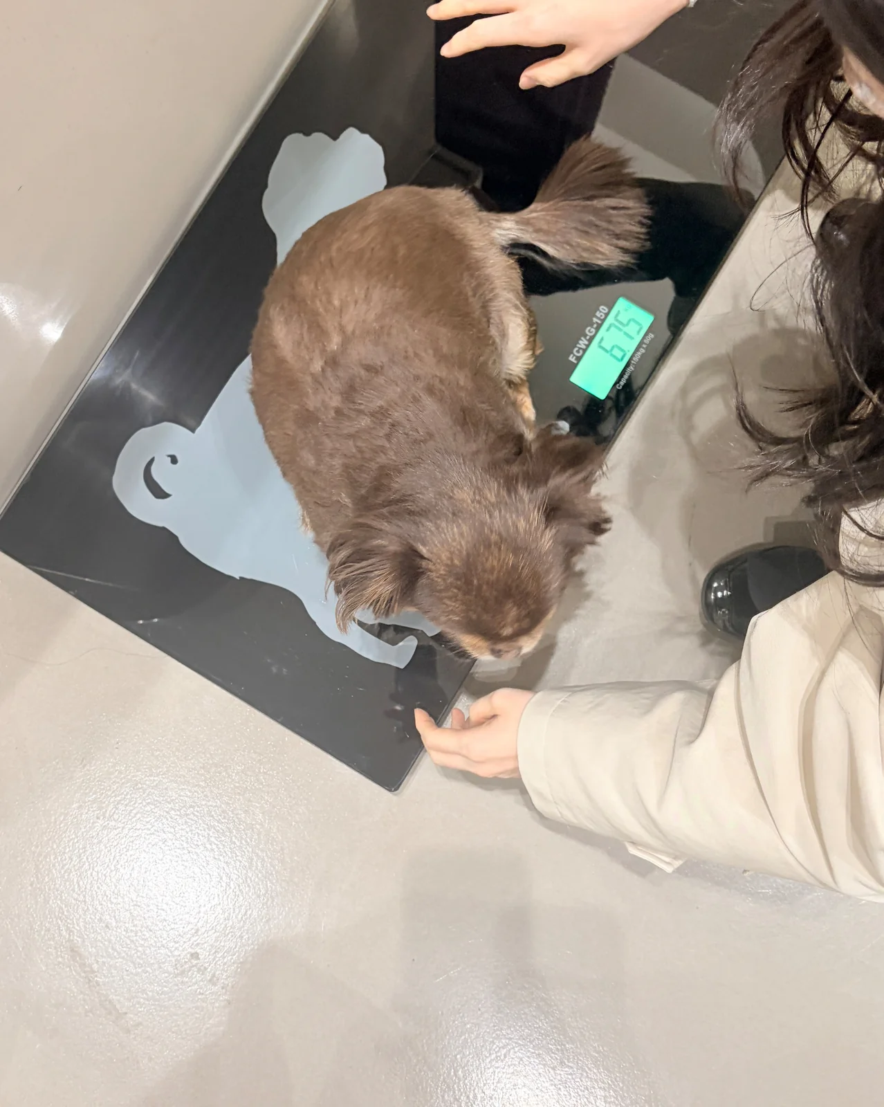 리뷰 사진 1