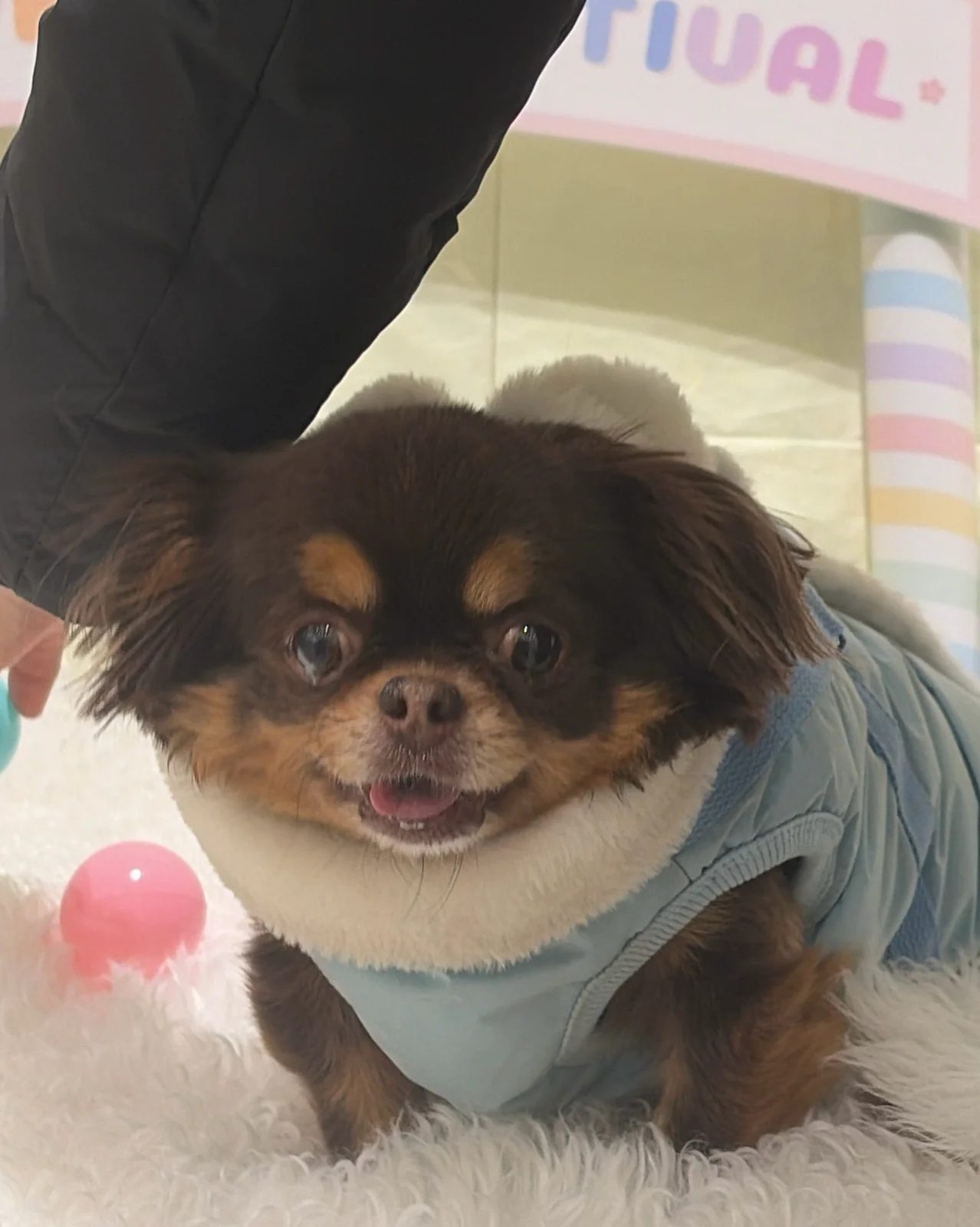 리뷰 사진 2