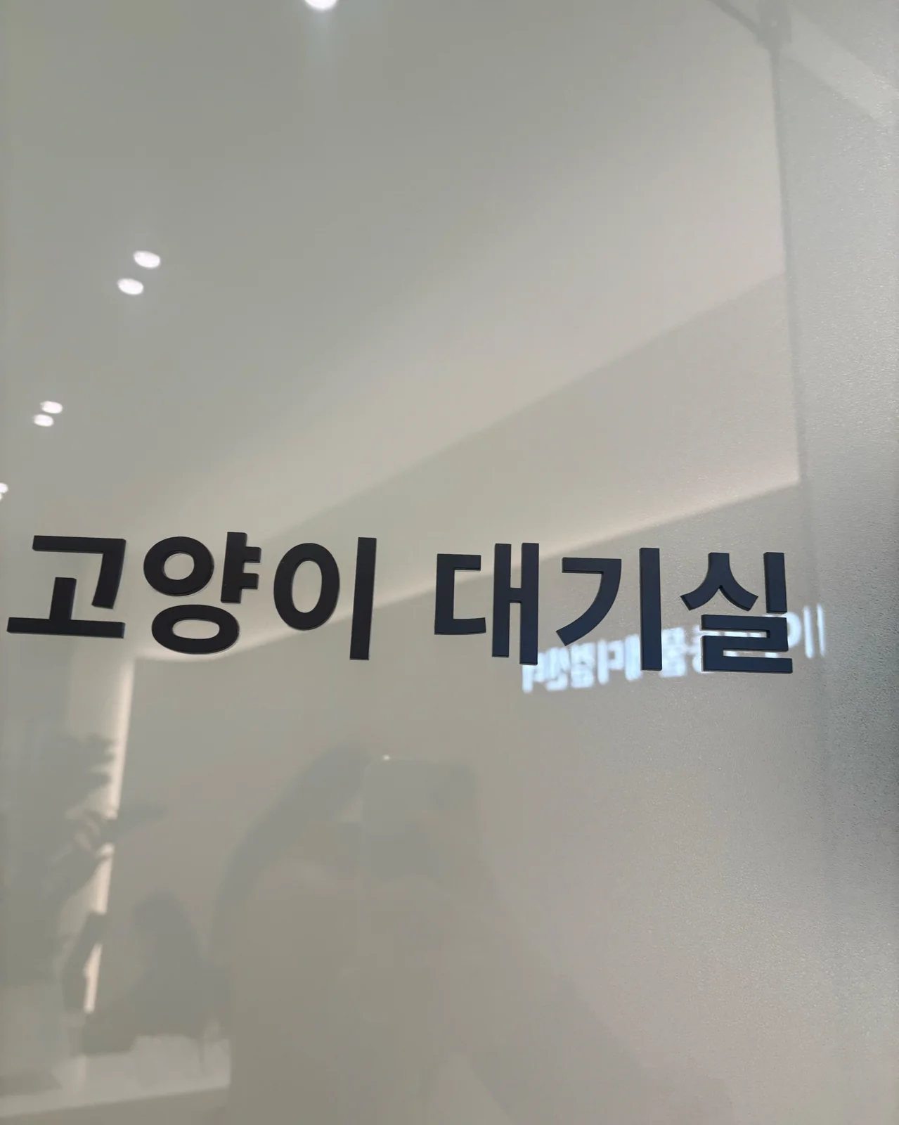 리뷰 사진 1