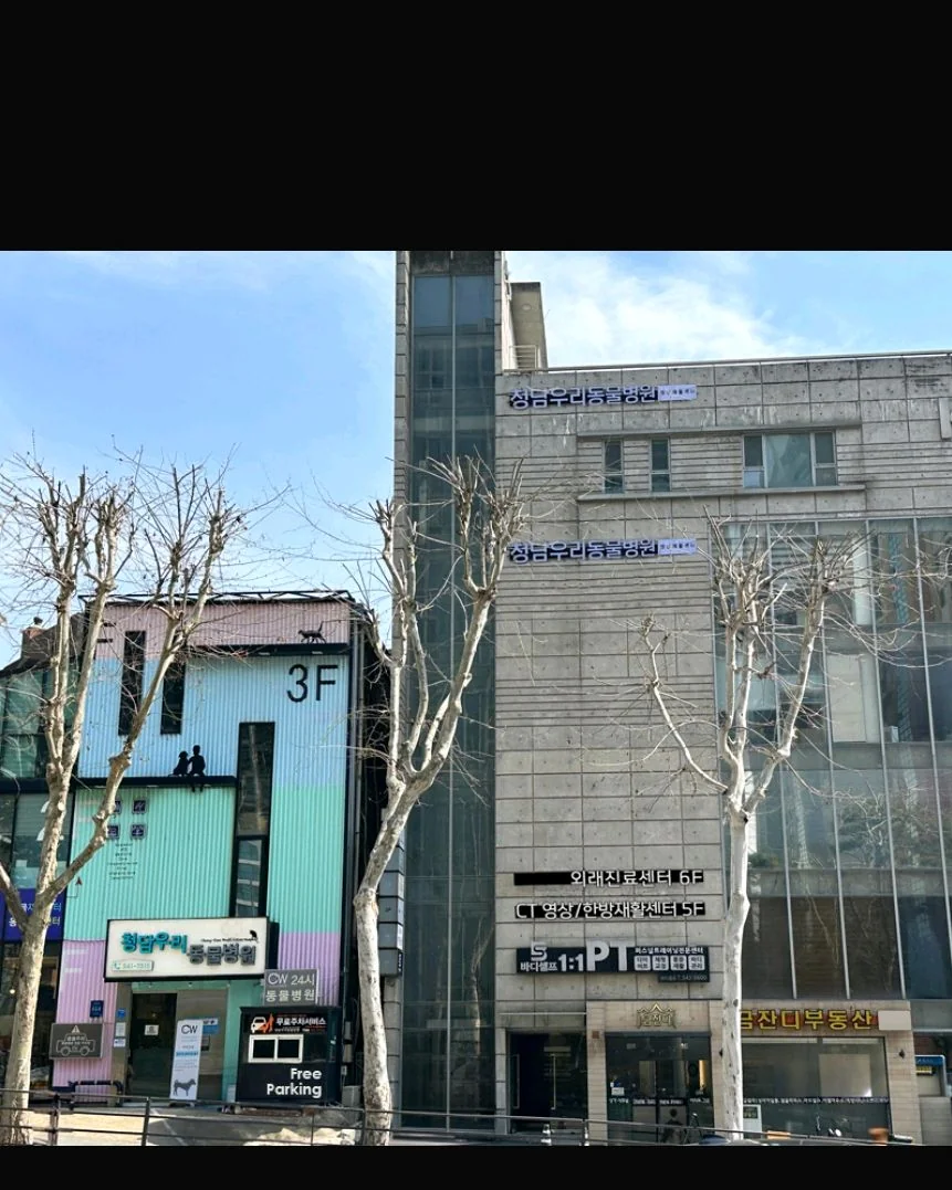 리뷰 사진 1