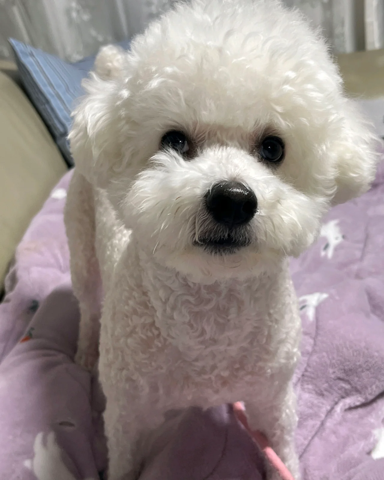 리뷰 사진 1