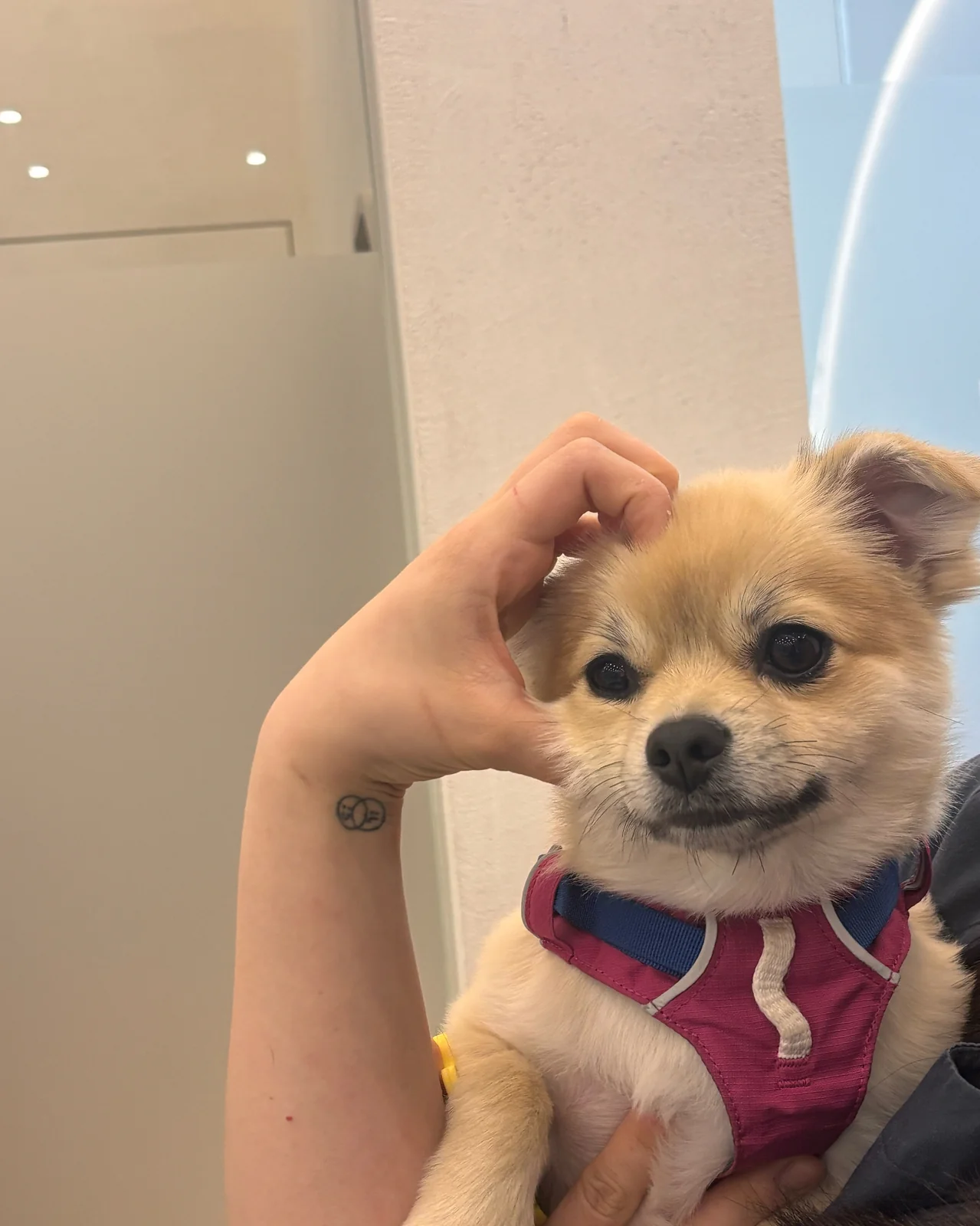 리뷰 사진 1