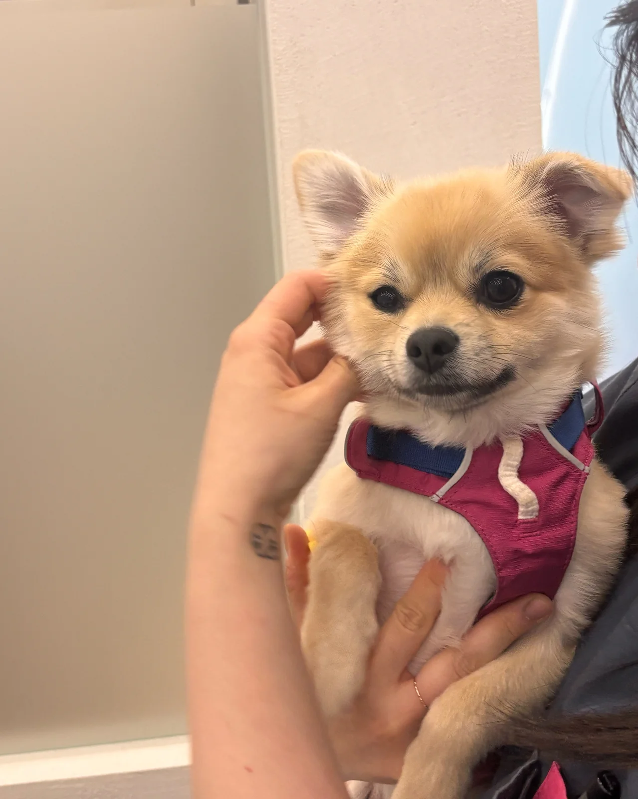 리뷰 사진 2