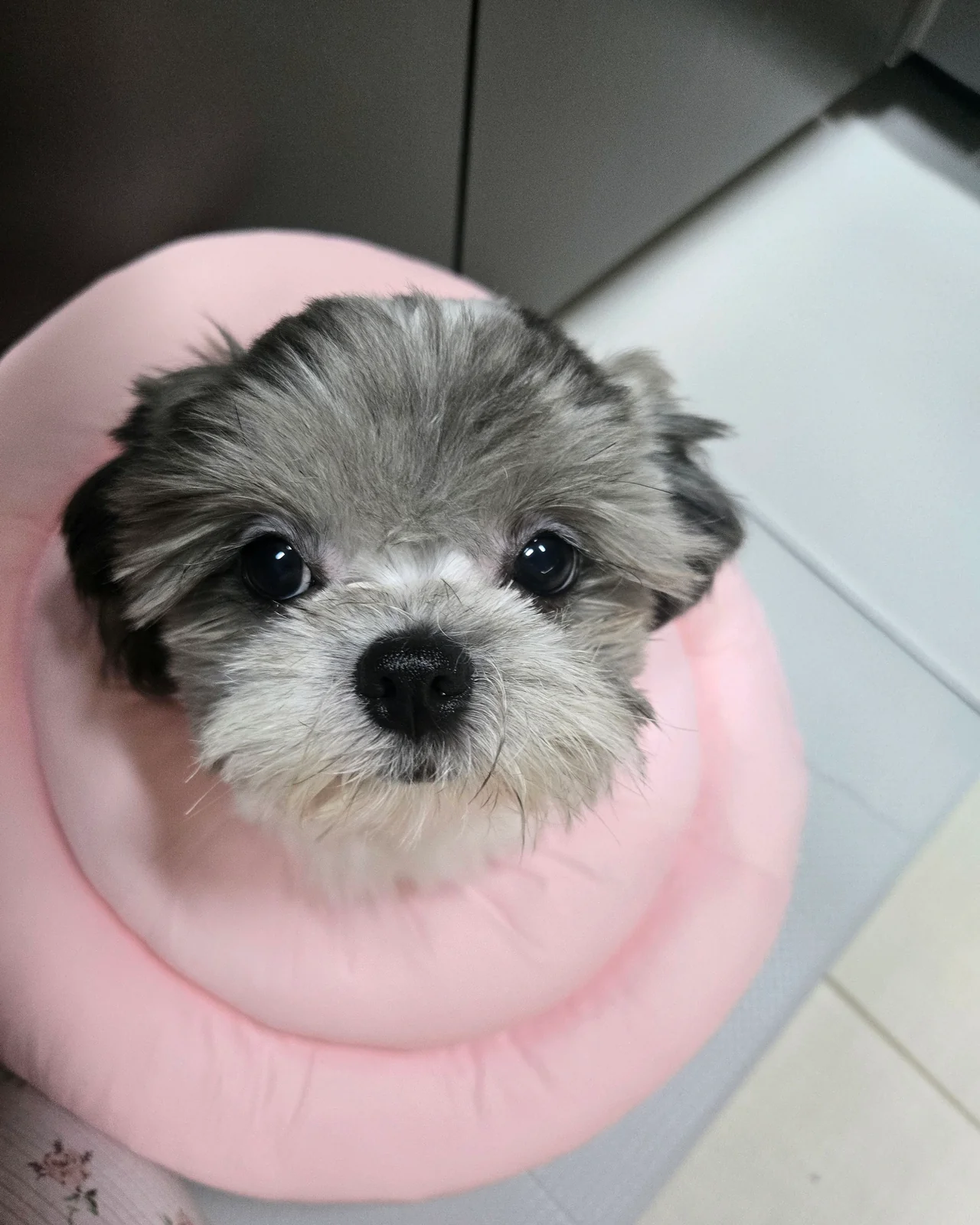 리뷰 사진 2