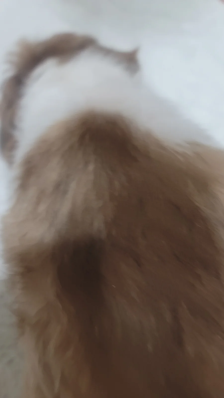 리뷰 사진 1
