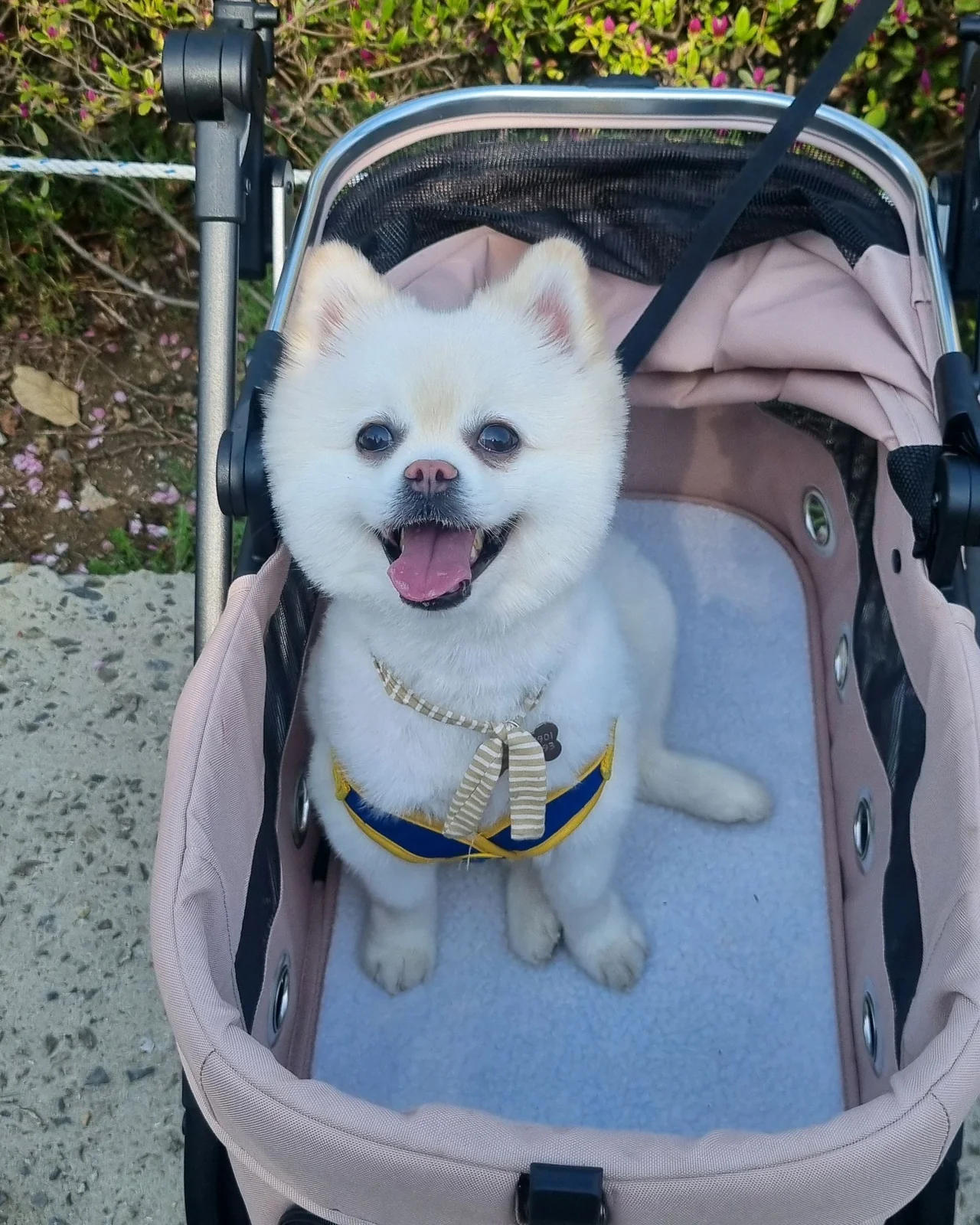 우신동물병원 사진 2