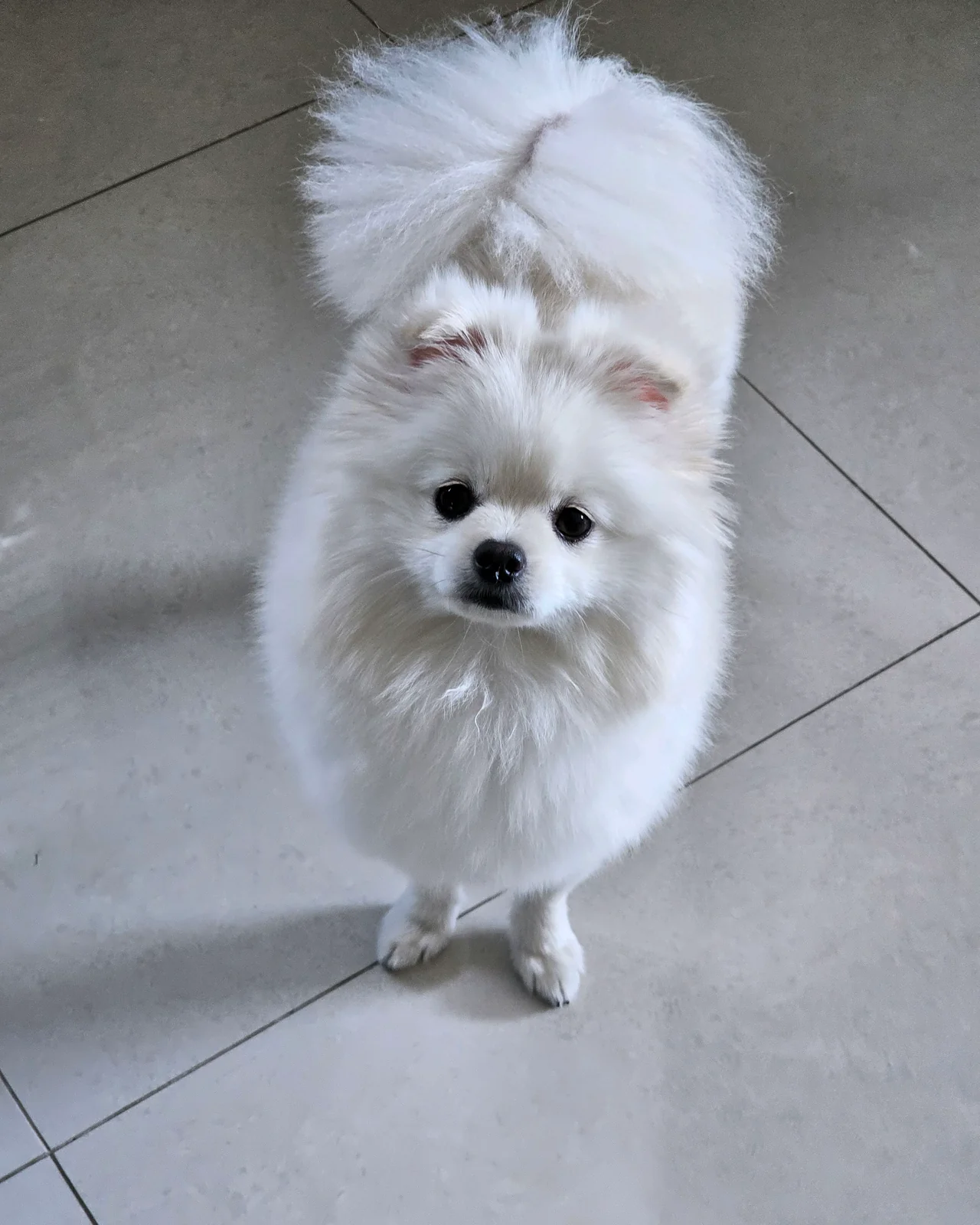 리뷰 사진 1