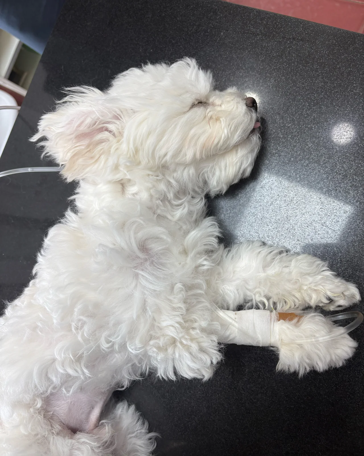 리뷰 사진 1