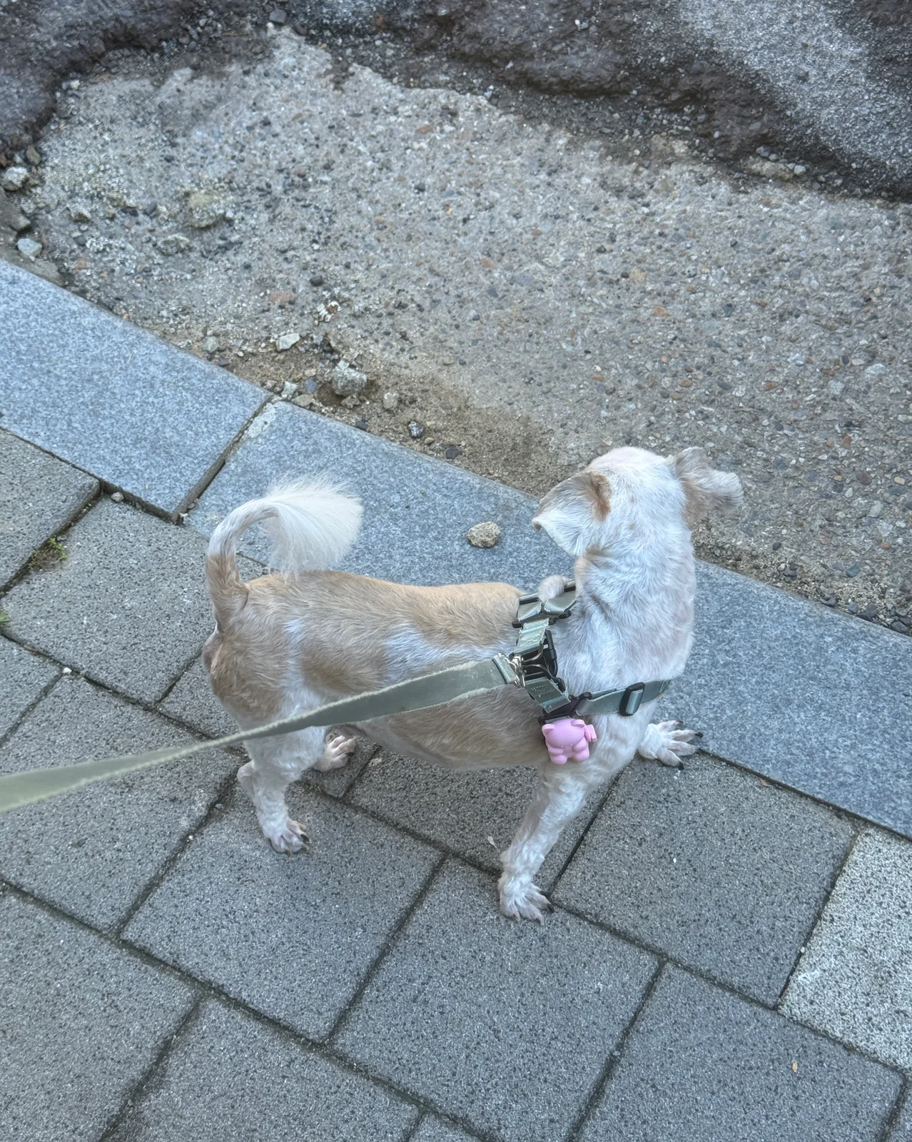 리뷰 사진 1