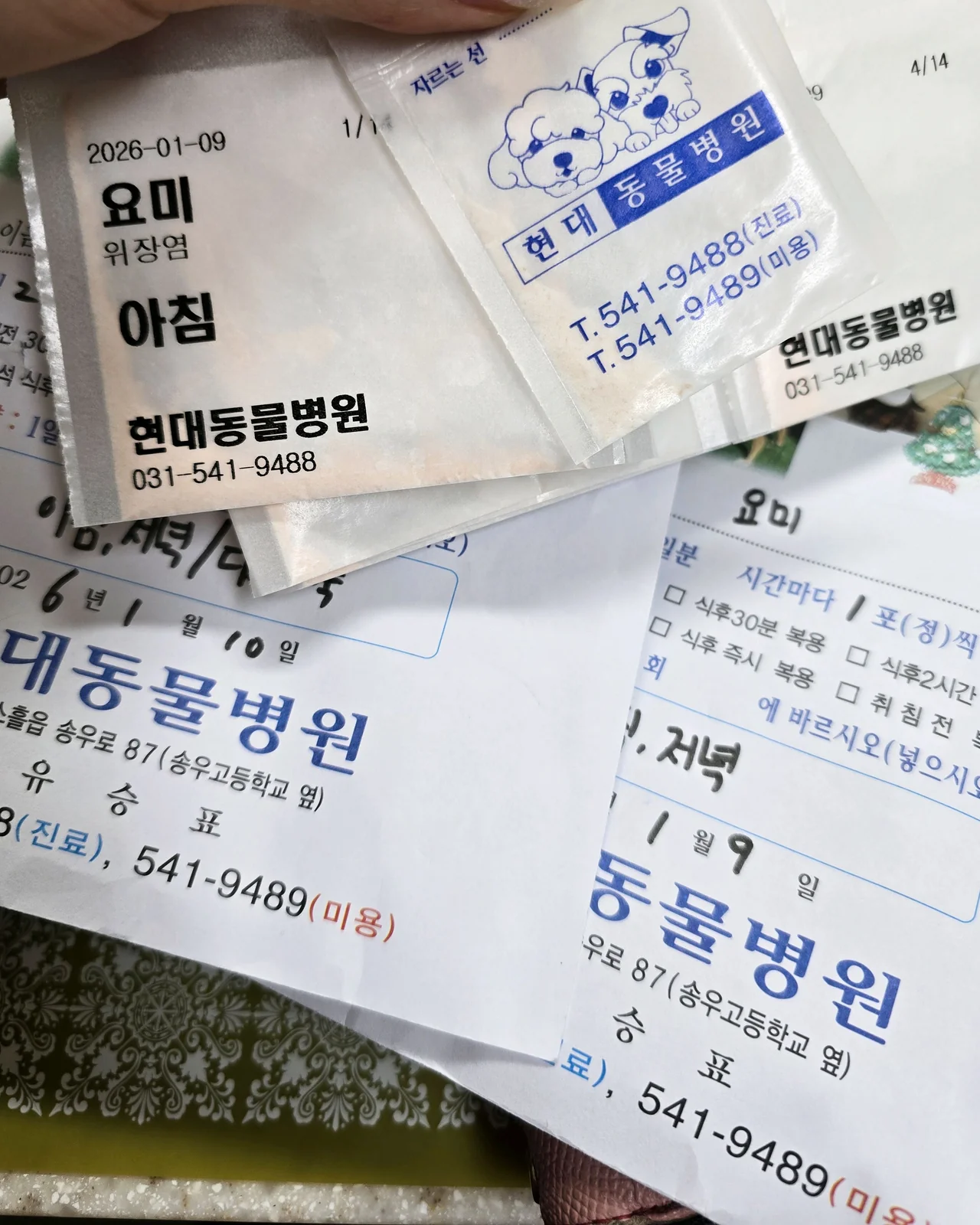 리뷰 사진 1