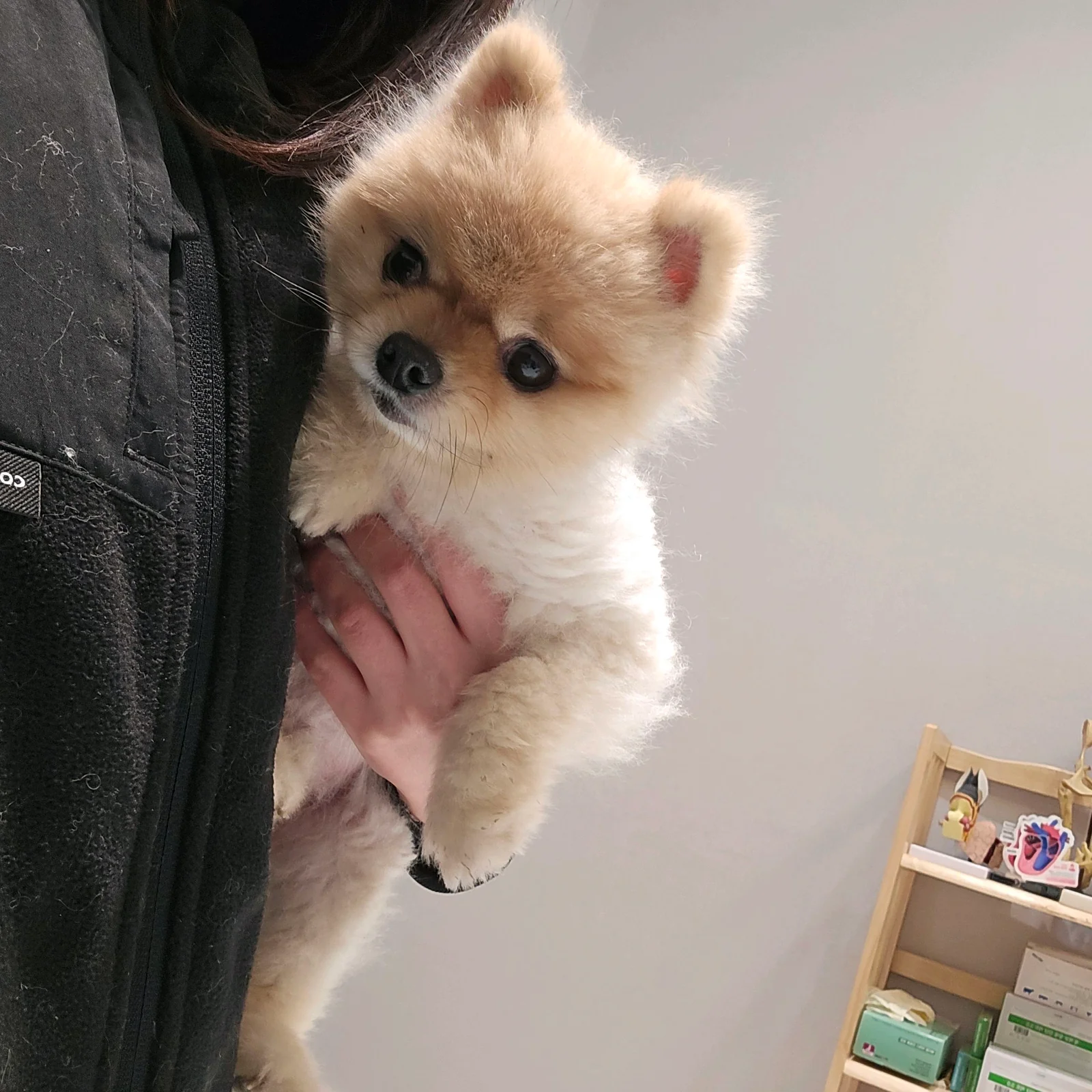 리뷰 사진 1