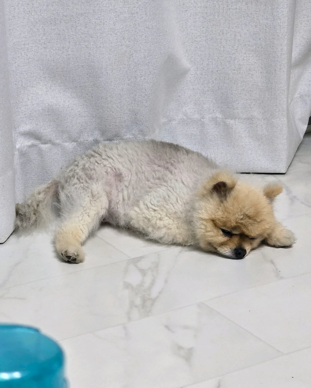리뷰 사진 2