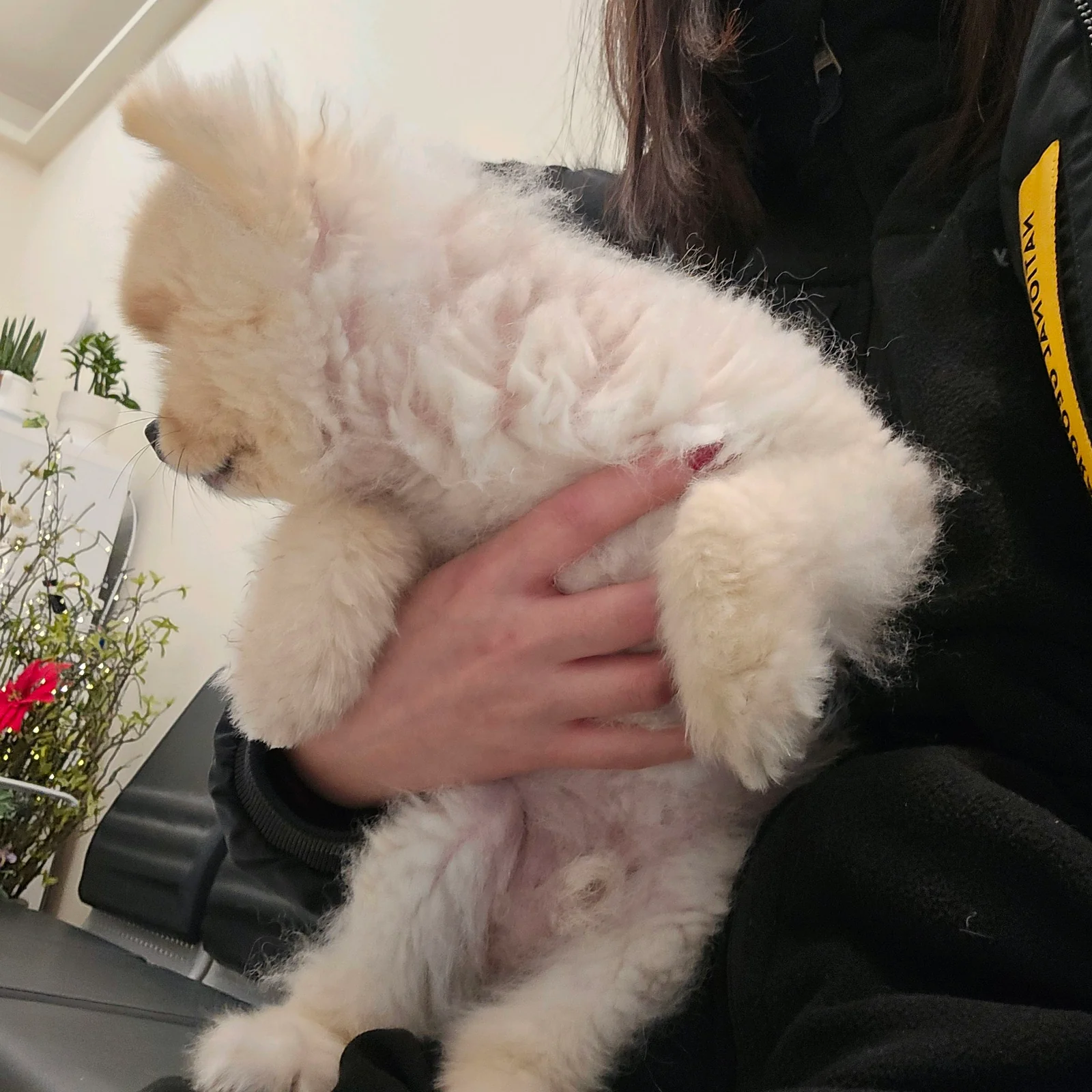 리뷰 사진 1