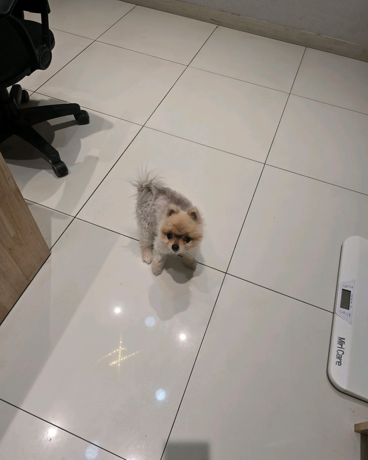 리뷰 사진 2