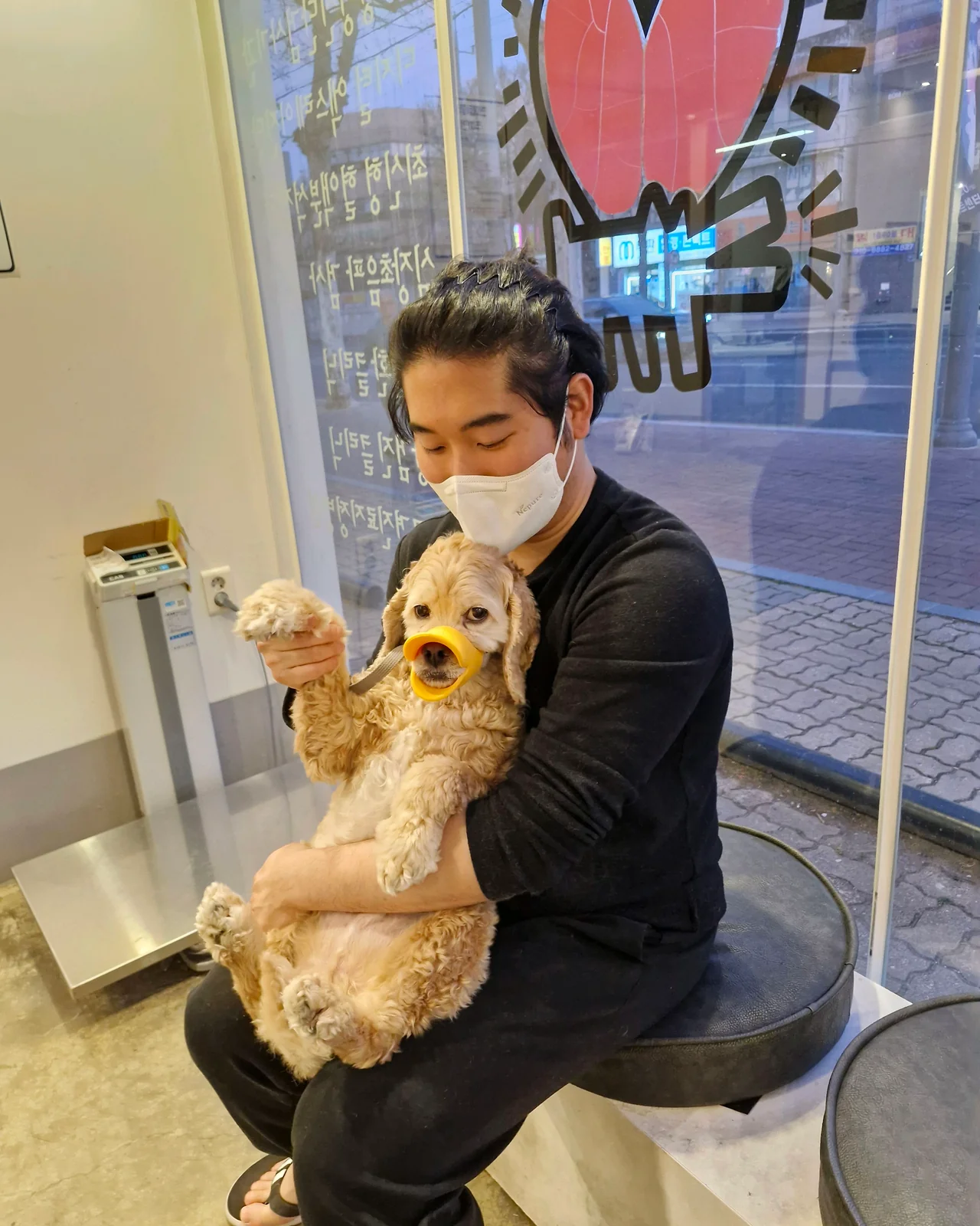현대동물병원 사진 2