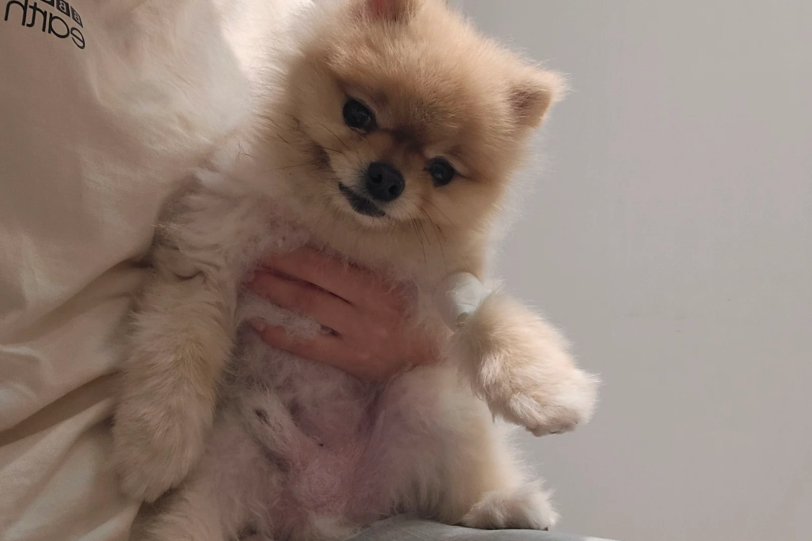 리뷰 사진 2