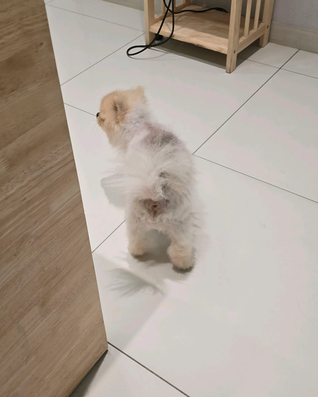 리뷰 사진 3