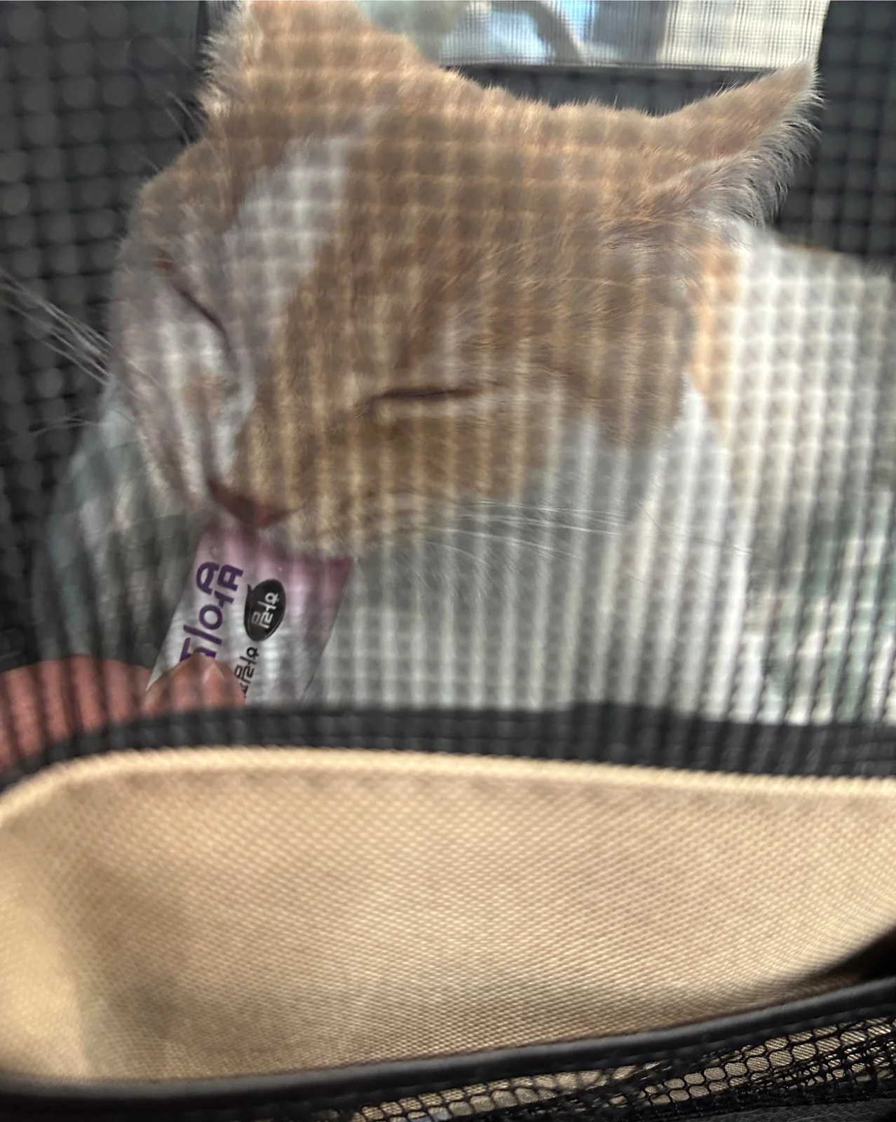 리뷰 사진 3